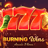 Tampilan Situs Daduslot88: Situs Slot Gacor Resmi & Dadu Slot88 Gampang Menang Maxwin Burning Wins