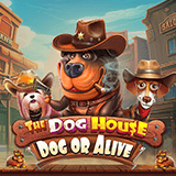 Halaman Depan Pelopor Link Slot Gacor Online The Dog House – Dog Or Alive